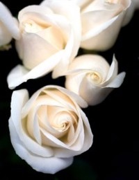 memorial-avatar